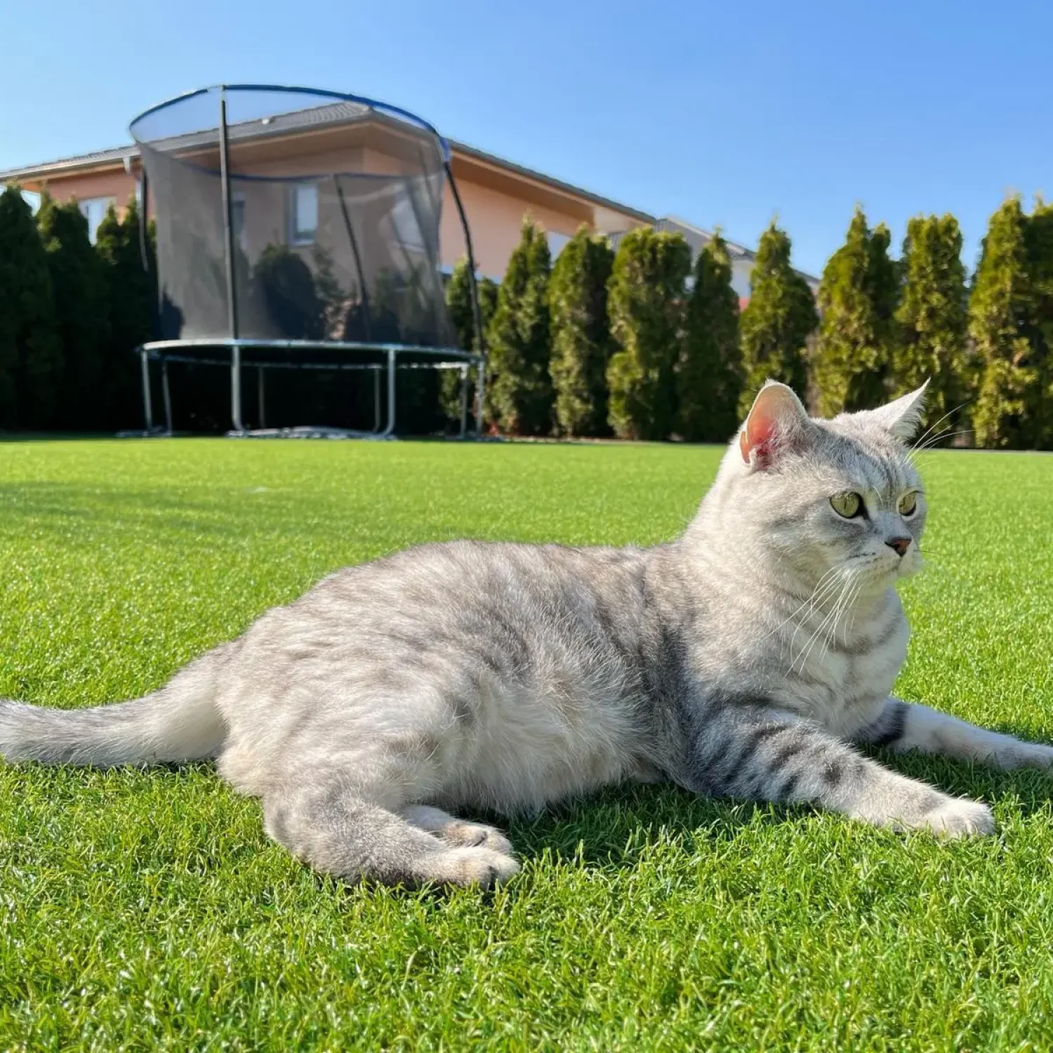 Artificial Turf for the Garden